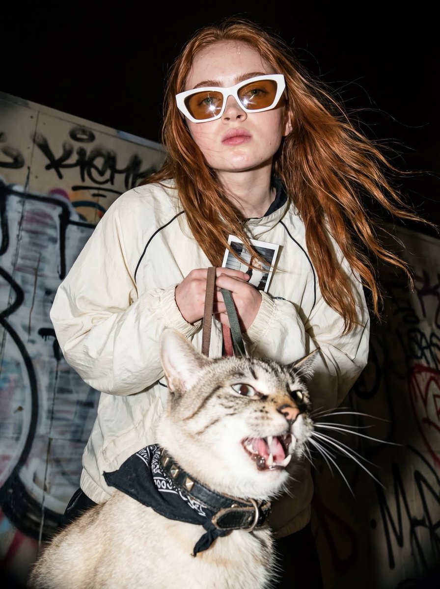 "image prompt data": {